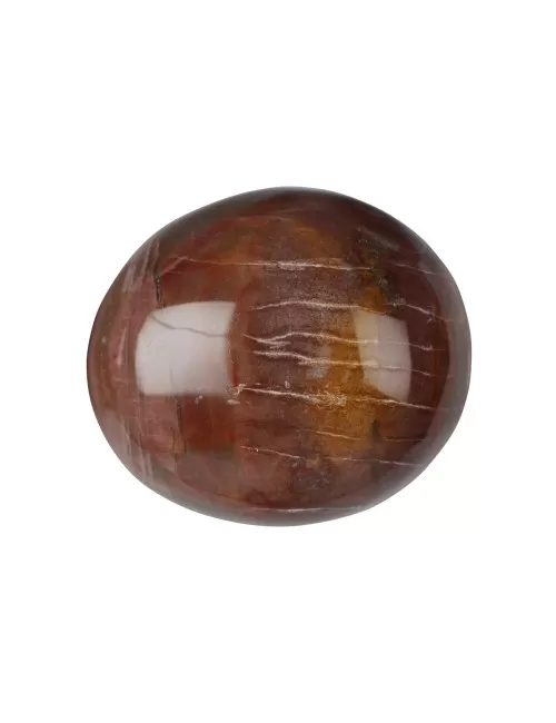 Trommelsteine - versteinertes Holz, 3,5 - 5,0cm - Jumbo - 500gr Beutel