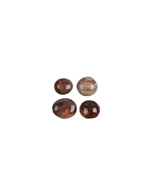 Trommelsteine - versteinertes Holz, 3,5 - 5,0cm - Jumbo - 500gr Beutel
