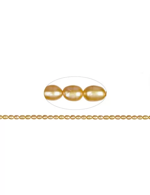 Heilstein & Edelstein-Strang - Reiskorn, Süßwasser-Perle, goldgelb (gef.), 06-07 x 05-06mm
