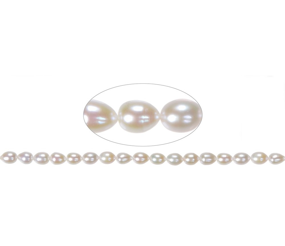 Heilstein & Edelstein-Strang - Tropfen, Süßwasser-Perle, weiß-creme,  08 - 09mm