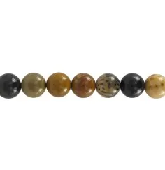 Heilstein & Edelstein-Strang - Kugeln, versteinertes Palmholz, 14mm