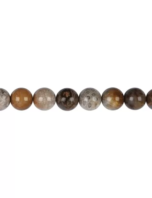 Heilstein & Edelstein-Strang - Kugeln, versteinerte Koralle, 10mm (39cm)