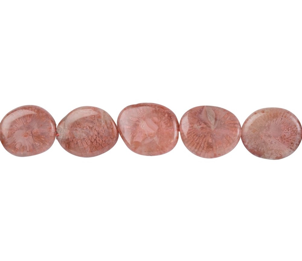 Heilstein & Edelstein-Strang - Scheibe Freeform, Hornkoralle, 2,0-2,5 x 1,5-17cm