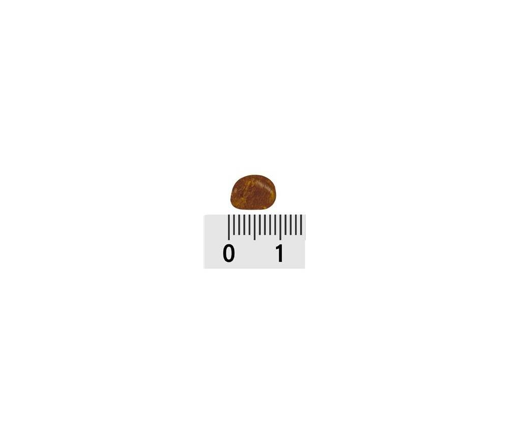 Trommelsteine - Bernstein - cognac- 0,3 - 0,5cm - B3 - 500gr Beutel