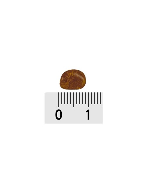 Trommelsteine - Bernstein - cognac- 0,3 - 0,5cm - B3 - 500gr Beutel