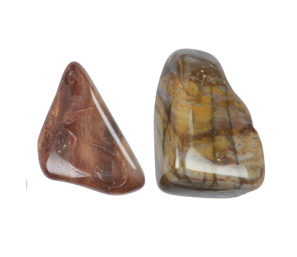 Trommelsteine - versteinertes Holz, 2,2 - 4,0cm - L - 500gr Beutel