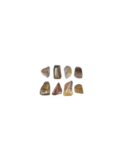 Trommelsteine - versteinertes Holz, 2,2 - 4,0cm - L - 500gr Beutel