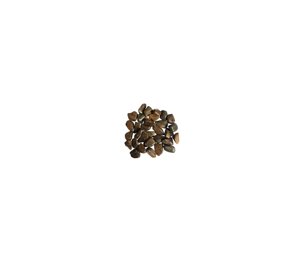 Trommelsteine - Bronzit, 2,5 - 4,0cm - L - 500gr Beutel