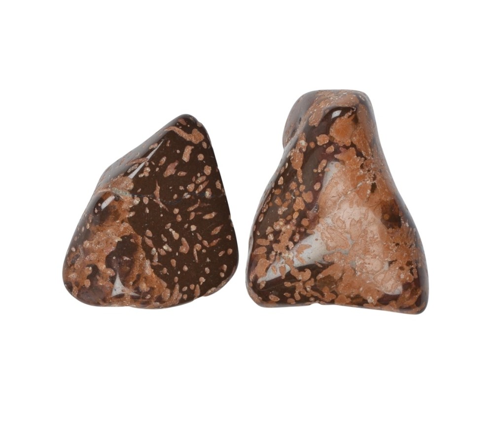 Trommelsteine - Jaspis - Sternjaspis- 3,4 - 4,5cm - L - 500gr Beutel