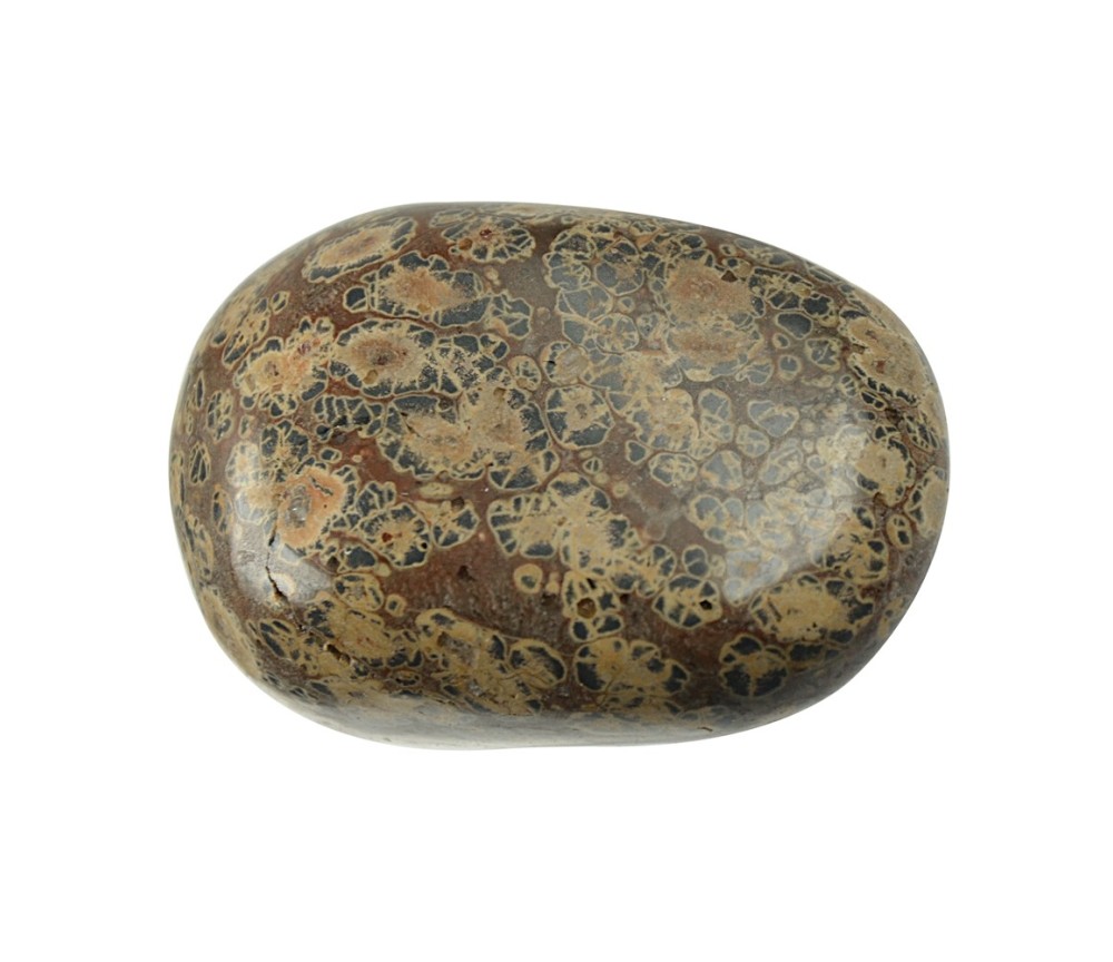 Trommelsteine - Jaspis - Leopardenfelljaspis- 4,0 - 6,0cm - Jumbo - 500gr Beutel