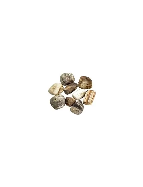 Lapis Vitalis - Wassersteine - versteinertes Holz - in Metall-Geschenkdose