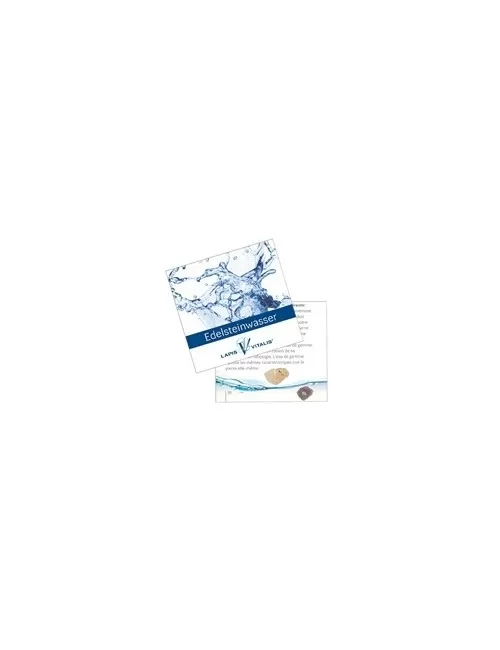 Lapis Vitalis - Wassersteine - versteinertes Holz - in Metall-Geschenkdose
