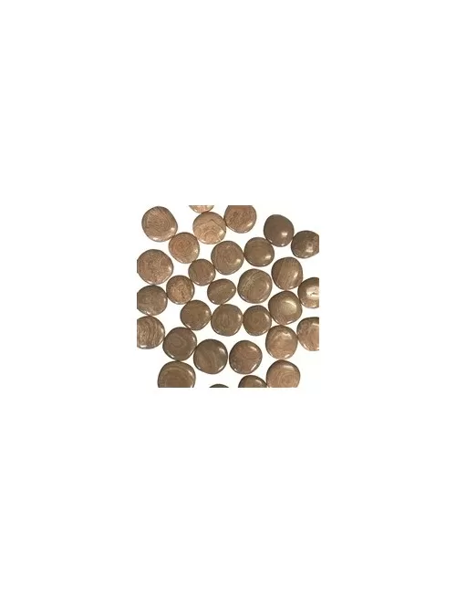 Heil- & Edelsteine - Scheibensteine - Aragonit (Eichenberg, Österreich) - 500gr Beutel