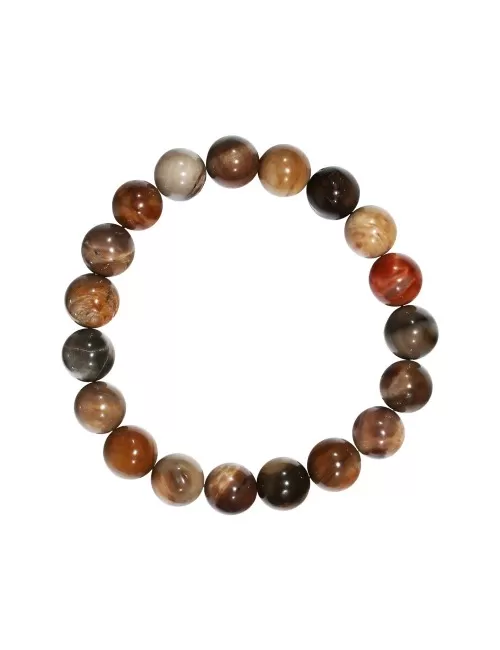 Armband - versteinertes Holz, 10mm Kugeln