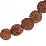 Armband - Edelsteinmala - Rudraksha mit Chakraperlen