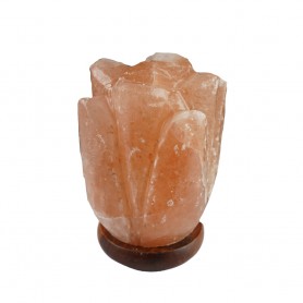 Lampe - Salzkristall - Salzlampe mit Holzsockel  Blume