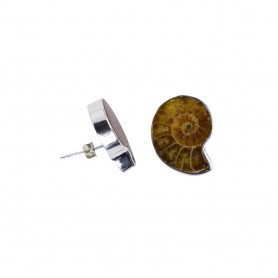 Heilsteine & Edelsteine - Ohrstecker - Ammoniten