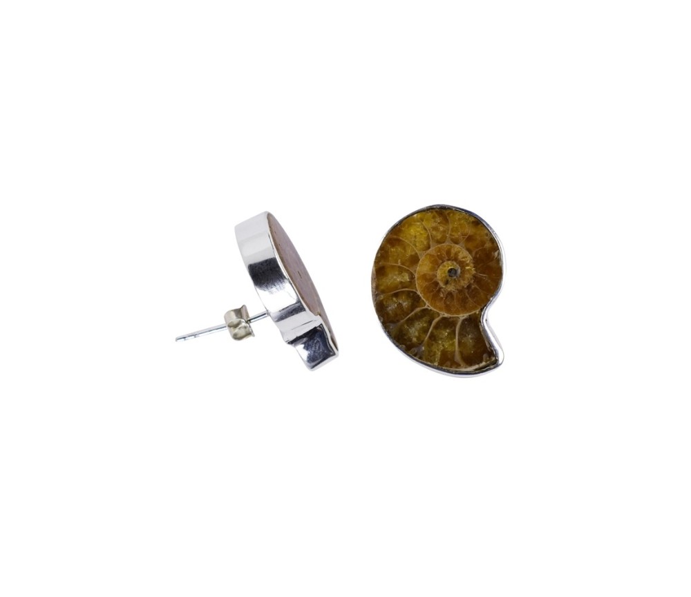 Heilsteine & Edelsteine - Ohrstecker - Ammoniten, 2,0cm