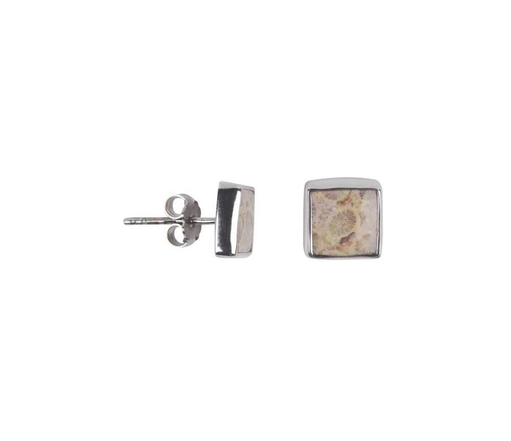 Heilsteine & Edelsteine - Ohrstecker - versteinerte Koralle (braun) Quadrat, 1,0cm, rhodiniert