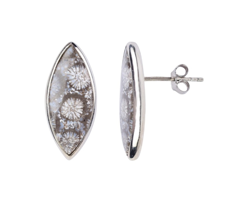 Heilsteine & Edelsteine - Ohrstecker - versteinerte Koralle (grau) Navette, 2,2cm, platiniert