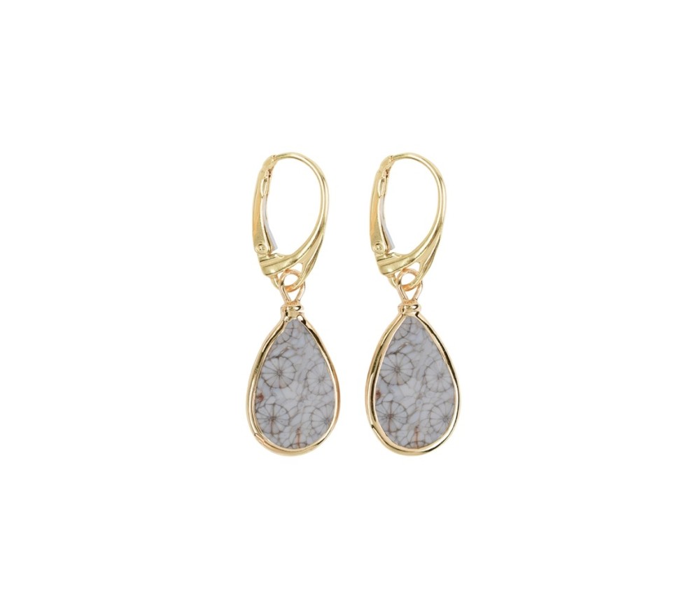 Ohrringe - versteinerte Koralle (grau) Tropfen (18 x 12mm), 4,0cm, vergoldet