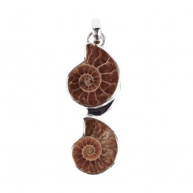 Anhänger - zwei Ammoniten
