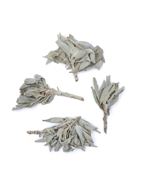 Räucherware - Weißer Salbei - (Salvia Apiana) - lose ca. 500gr.