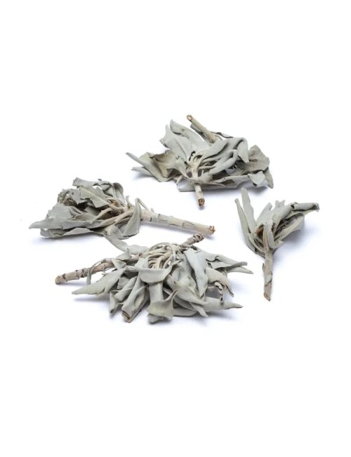 Räucherware - Weißer Salbei - (Salvia Apiana) - lose ca. 500gr.