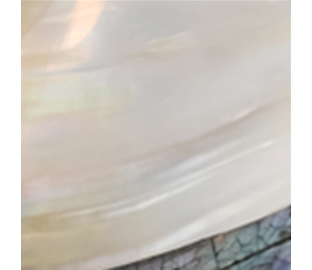 Aufbewahrungs - & Schmuck Dose - Muschel (Pseudodon) - ca. 20-22 x 11-13cm