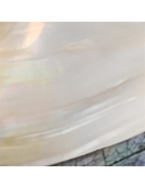 Aufbewahrungs - & Schmuck Dose - Muschel (Pseudodon) - ca. 20-22 x 11-13cm