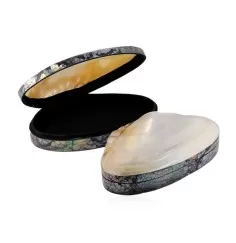 Aufbewahrungs - & Schmuck Dose - Muschel (Pseudodon) - ca. 20-22 x 11-13cm