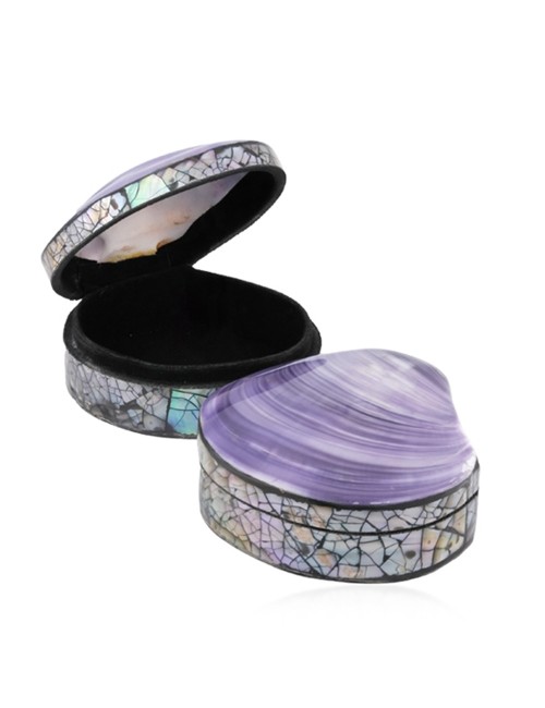 Aufbewahrungs - & Schmuck Dose - Muschel - violett (Corbicula fluminea) - ca. 7 x 6cm