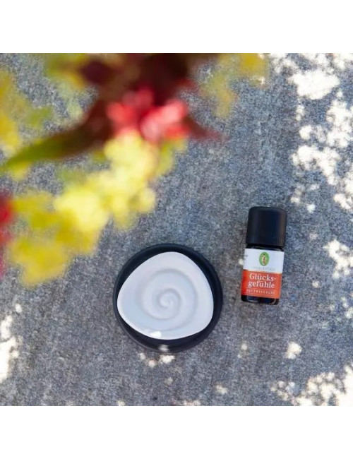 Primavera - Aroma Duftstein - Energy