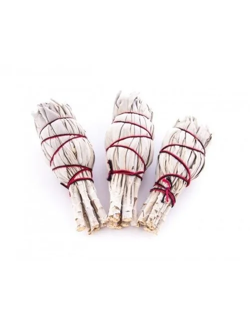 Räucherware - Weißer Salbei - klein ca. 11x3cm - ca. 30-40gr - 3er Pack