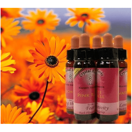 Crystal Herbs - Essenzen - Bachblüten Essenz - Pink Rose / Rosa Rose - 10ml