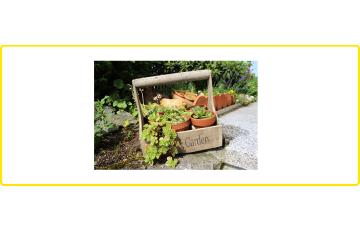 Garten & Außen Dekoration