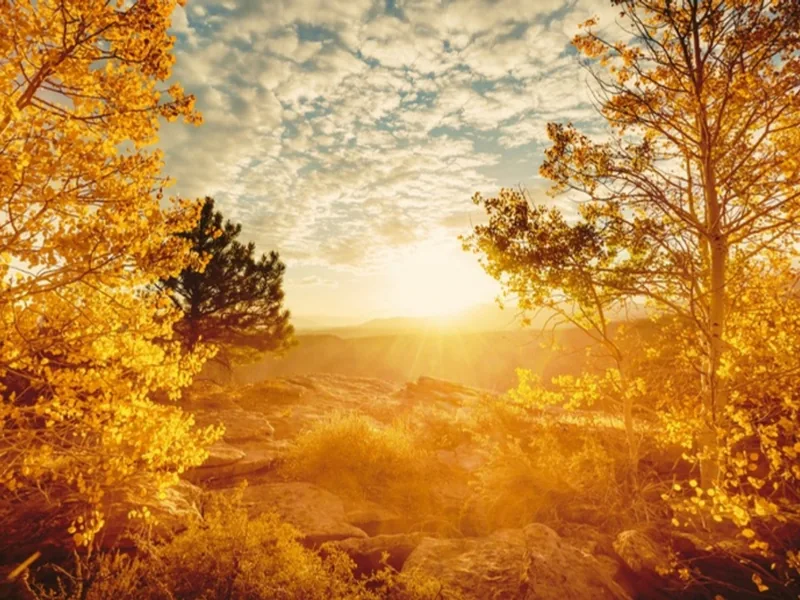 Themen Welt – goldene Herbstlandschaft im Sonnenlicht im Esoterik Shop SonnenhausWelt