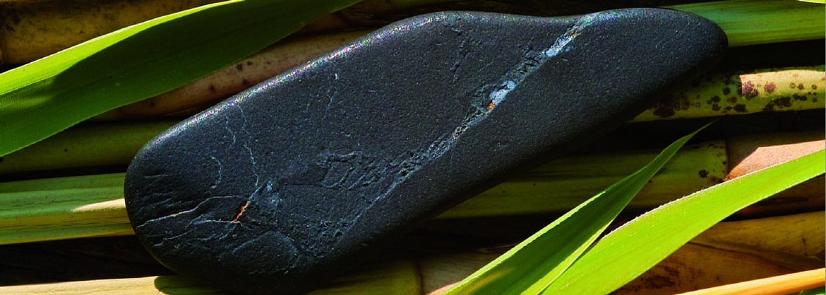 Heilstein des Monats: Schungit