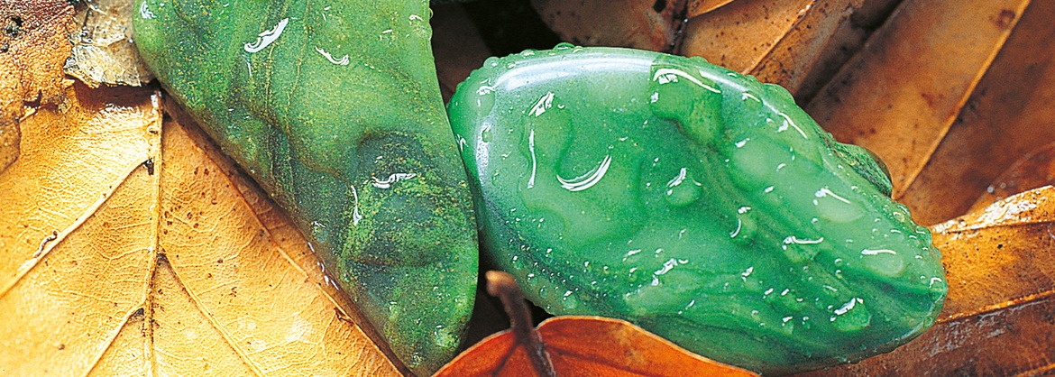 Heilstein des Monats: Prasem